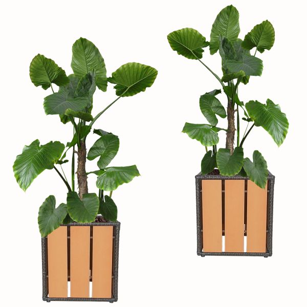 High Grade Factory Hot Sale Rattan Wicker Plastic Wooden Garden Pots Planter