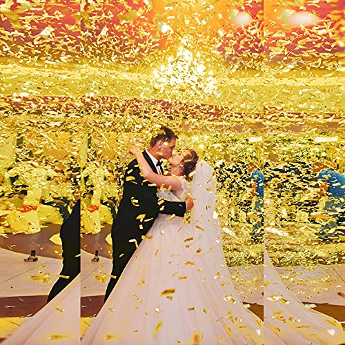 Purple 2*5cm Party Popper Confetti Cannon Biodegradable Rectangle Round Heart Shape Green White Black Confetti Gold Foil Free Sample