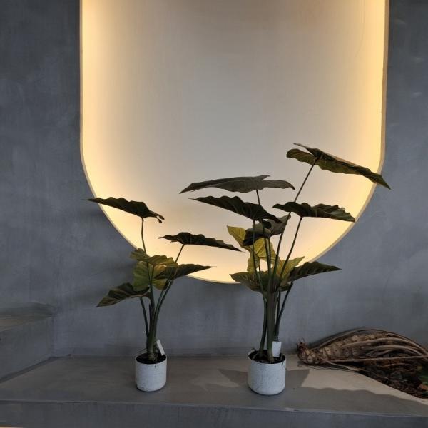 Plantas artificiais de plástico verde 70-120cm para decoração interna / externa