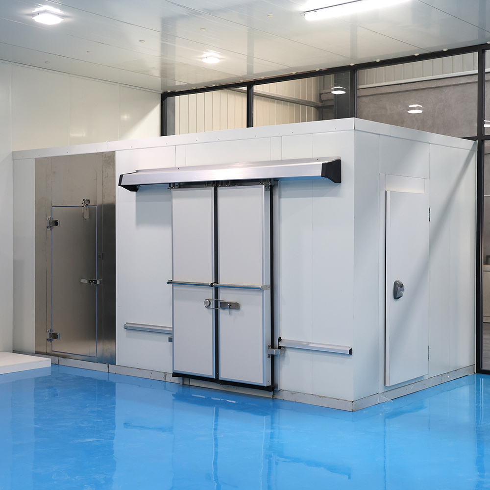 Flexible Panel Walk In Freezer Epoxy Flooring Modular Cold Room Storage Construction