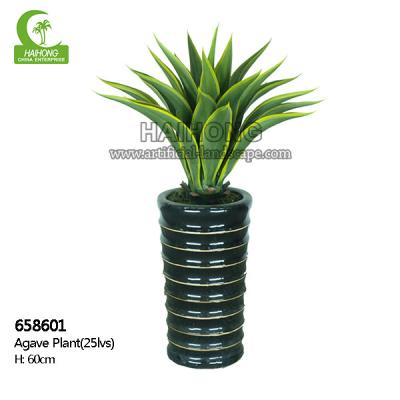 Planta suculento artificial estética de H60cm para a decoração da casa
