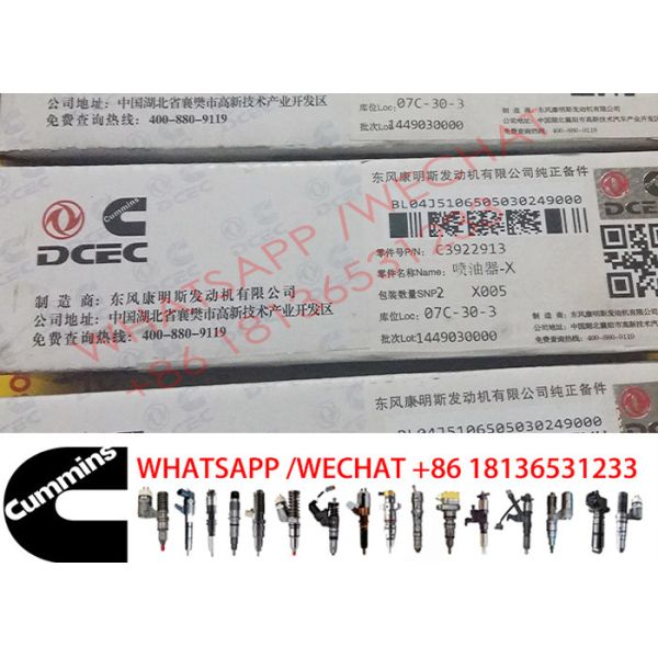 3926117 3922913 3802485 3926120 инжекторов топлива Cummins для 6CT8.3