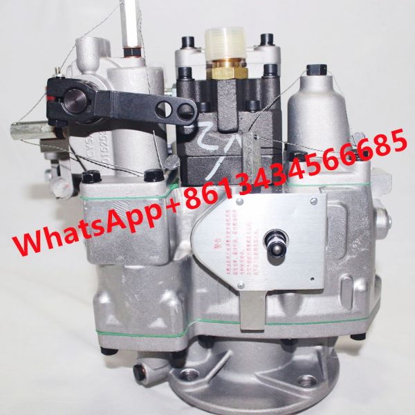 Diesel Engine Parts For Cummins NT855 M11 Fuel Pump 3165797