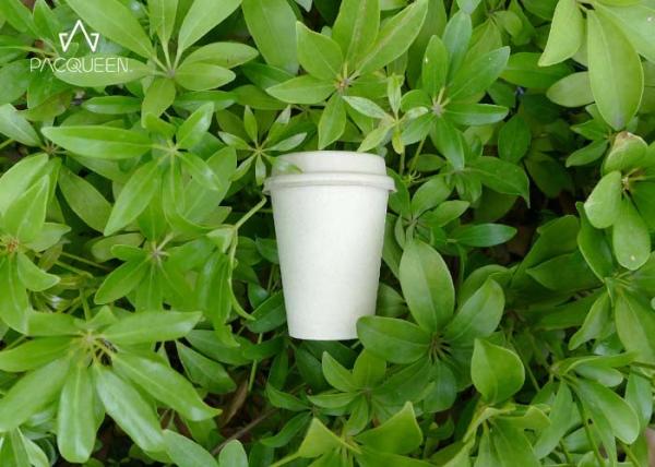 8 Oz/12 Oz/20 Oz Hot Drink Compostable Paper Cups Renewable Material With Lids