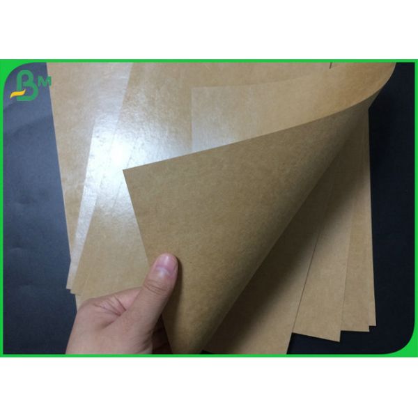 Poly petit pain enduit de papier d'emballage de catégorie comestible 300gsm 350gsm à la nourriture Tray Making