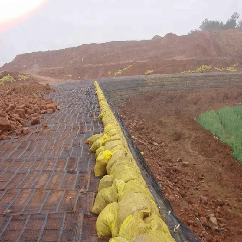 Plastic Polypropylene PE Unidirectional Uniaxial Tensile Plastic Geogrid For Roadbed Reinforcement
