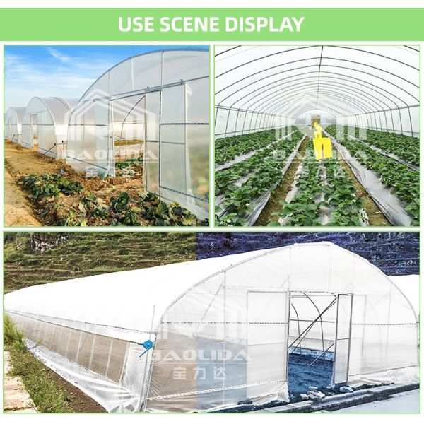 10x50m Polytunnel Berry Poly High Tunnel Greenhouse Film Tunnel Greenhouse Kit