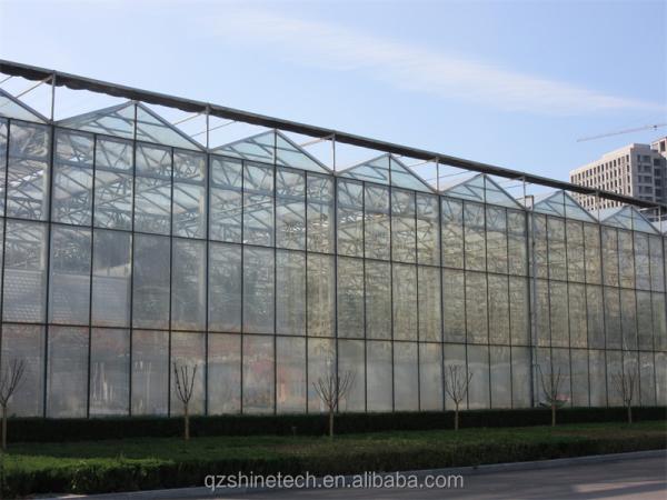 Multi Span Glass Greenhouse Agricultural Equipment for Vegetable Fruits and Flowers