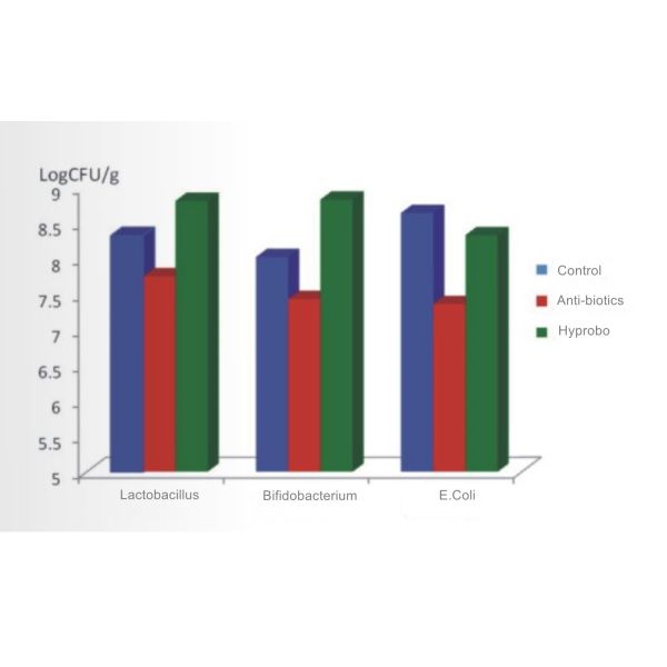 Sunhy Water Soluble Probiotics For Poultry ISO Certified