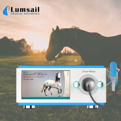 Máquina focalizada da terapia da inquietação do cavalo do transmissor para a dor nas costas do cavalo