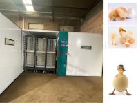 19200 incubateurs d'oeufs de large échelle incubent des oeufs d'oie d'oiseaux de canards