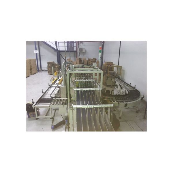 100% Advantage Automatic Grade Automatic Case Packer for Bottle Case Packing Machines