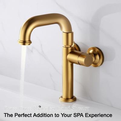 Brass Faucets with Hand Shower The Perfect Addition to Your SPA Experience