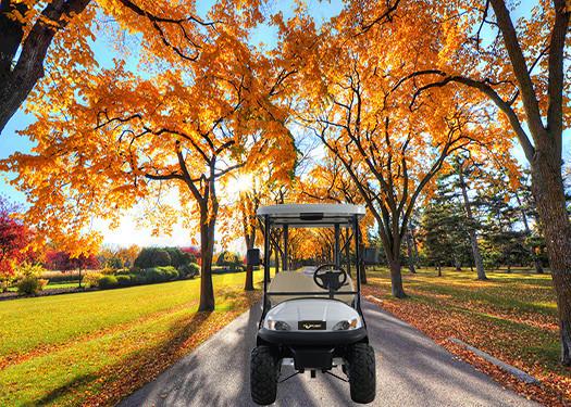 Big Tyre Four Passenger Golf Cart , Electric Motor Golf Cart For Club