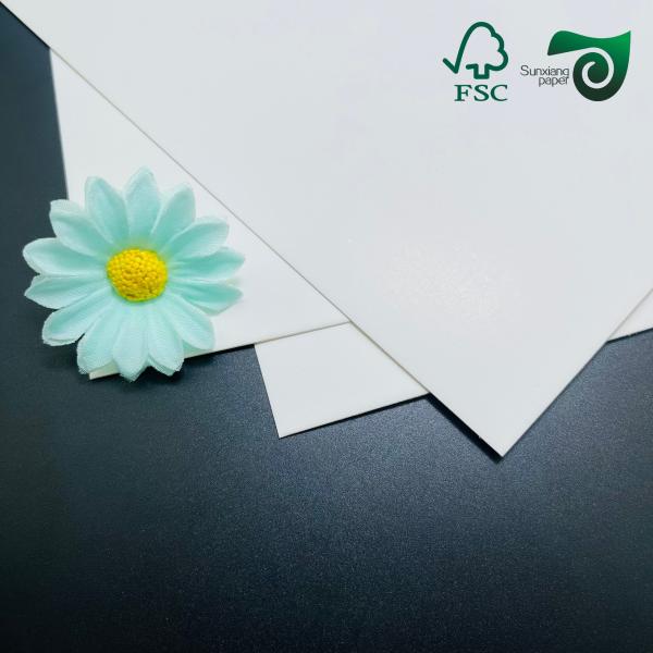FSC 210g Food Grade C1S SBS Solid Paper Card   One Side Coated 30 40in white cardboard