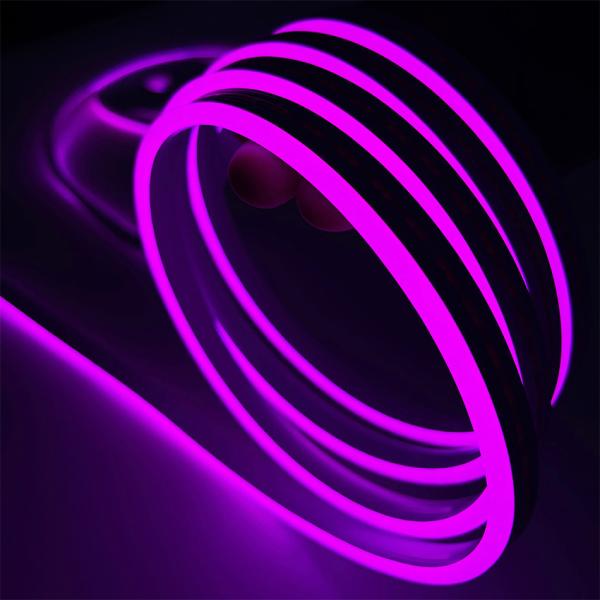 3 Years Warranty Flexible Silicone Neon Strip Light 12V Input, 10mm Cutting Unit