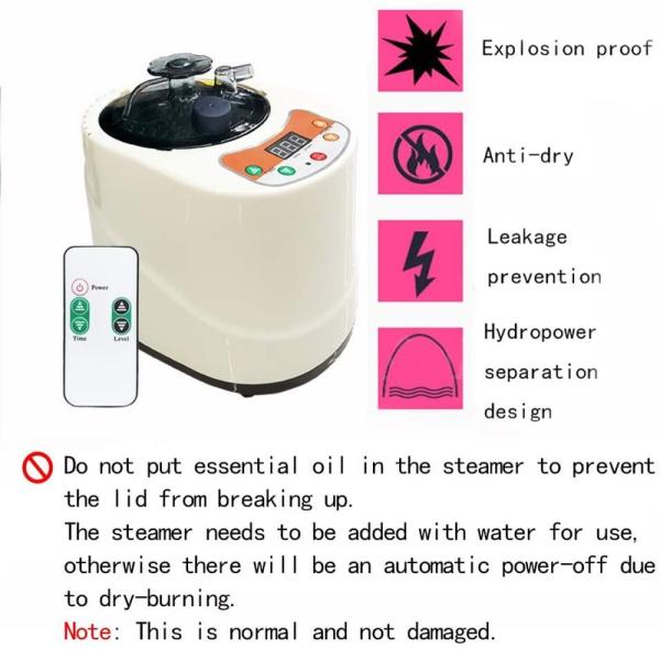 2 Liter Modern Portable Sauna Steam Pot Generator For Home Steam Saunas Spa Machine For Body Detox Weight Loss US EU Plug