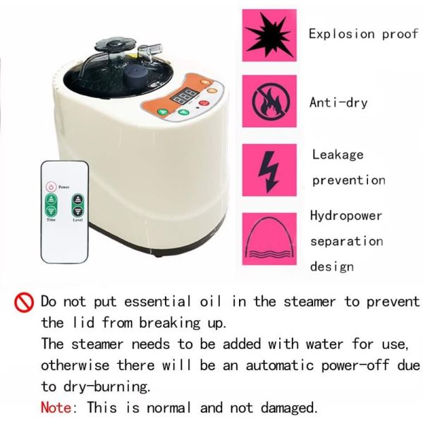 2 Liter Modern Portable Sauna Steam Pot Generator For Home Steam Saunas Spa Machine For Body Detox Weight Loss US EU Plug