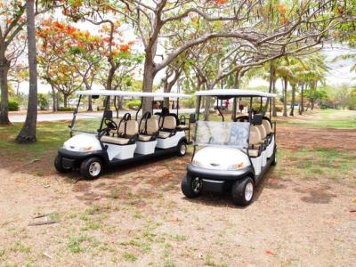 Environmental Park 8 Person Golf Cart Sightseeing Bus With Led Front Lights