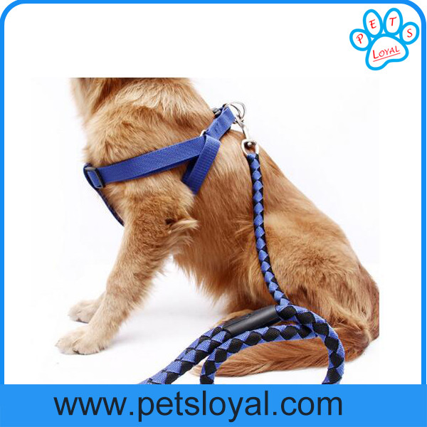 Hot Selling Cheap Pet Dog Product Nylon Pet Dog Harness Leash China Factory