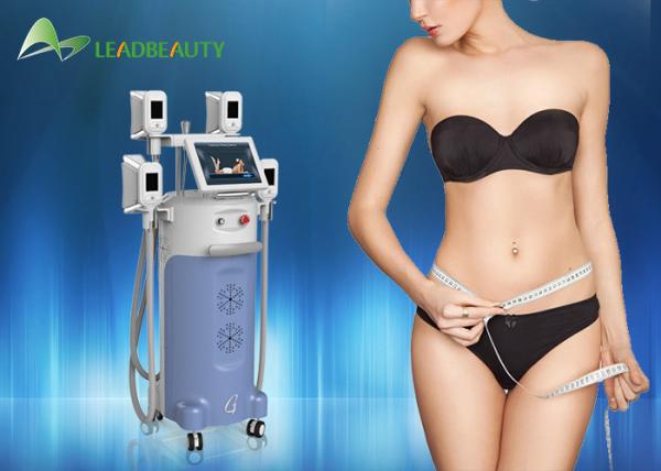 Newest CE approval devoice Coolsculption portable Cryolipolysis body contouring Fat Freezing