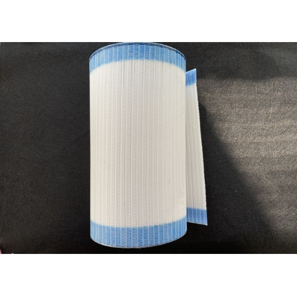 200℃ Temperature Resistant Polyester Sludge Belt Plain Weave Glue Edge