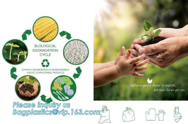 FDA CERTIFICATE BIODEGRADABLE WHEAT STRAW PLATE, Dinner Plate Wheat Straw degradable Plate