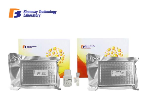 High Sensitive TYRO3 Receptor Tyrosine-protein Kinase Human ELISA Assay Kit 96 Well Plate