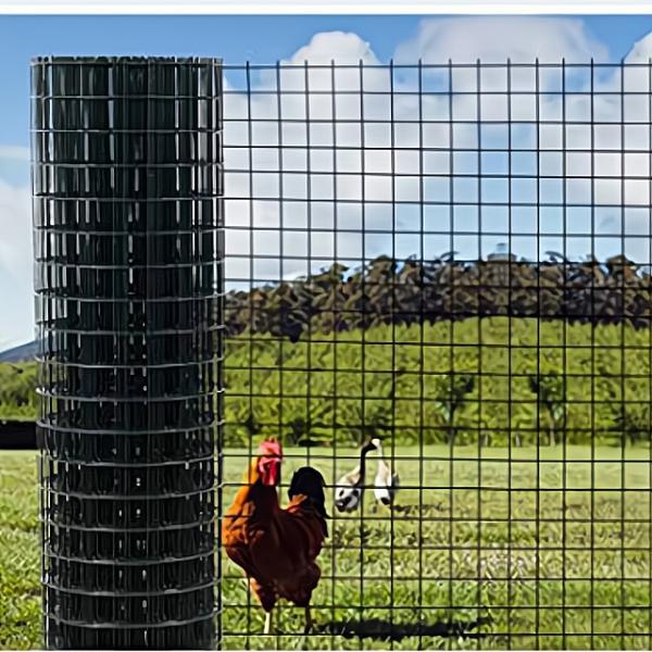 Pvc Coated Chicken Coop Square Hole Farm Fence 1/2 Inch 3/4 Inch Welded Wire Mesh Rolls