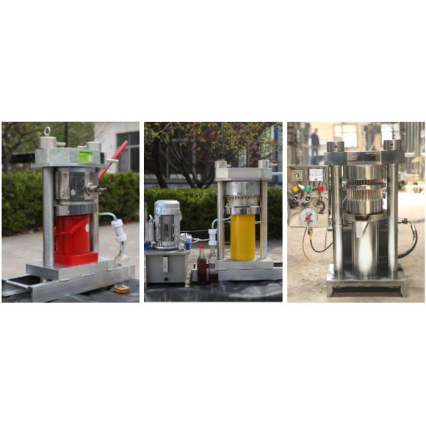 Farms Customized Hydraulic Cocoa Butter Walnut Sesame Oil Extraction Machine for Oil Pressing