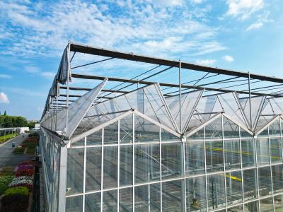 Multi Span Large Glass Greenhouse Kit Span Width 9.6m 10.8m 12m