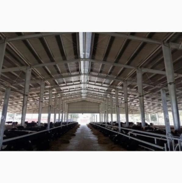 Steel Structure Prefab Poultry House Wind Resistant Pre Engineered Steel Cowshed