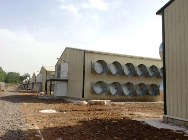 Prefab Steel Structure Chicken House Fireproof Farm Steel Frame Building Construction