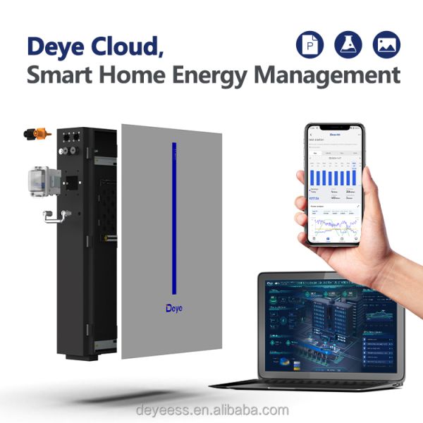 Deye RW-M6.1 LiFePO4 51.2V 100Ah 120Ah 5.53KWH Energy Storage Wall-Mounted Solar System 6.14KWH Hv Battery From Deye Power