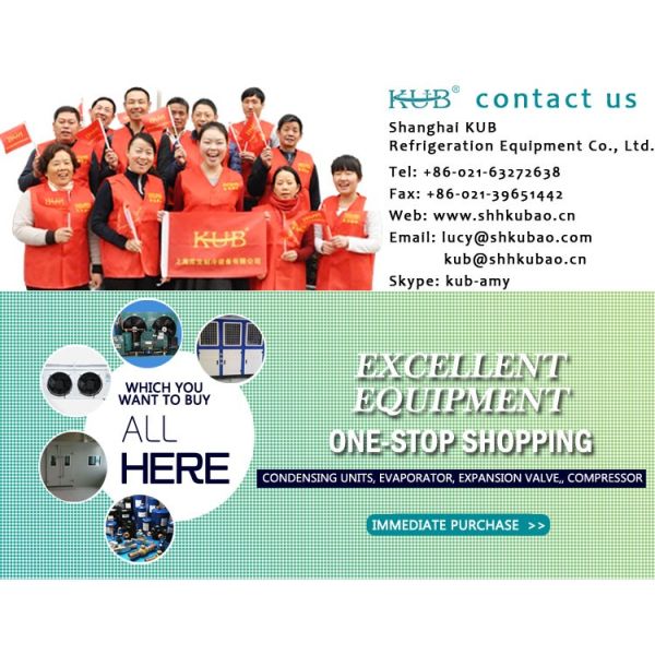 SPBE022D  Power Saving air Cooler Electric Defrosting for Medium Low Temperature with 2 Fans Snd High Quality Aluminum Coating