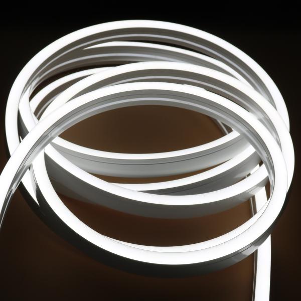 Extruded Silicone LED Neon Flex 12x20mm R Y O G B PW DW WW Color Options