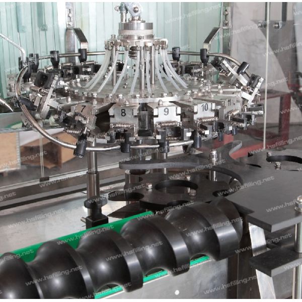 500ml Bottle Rinsing Machine