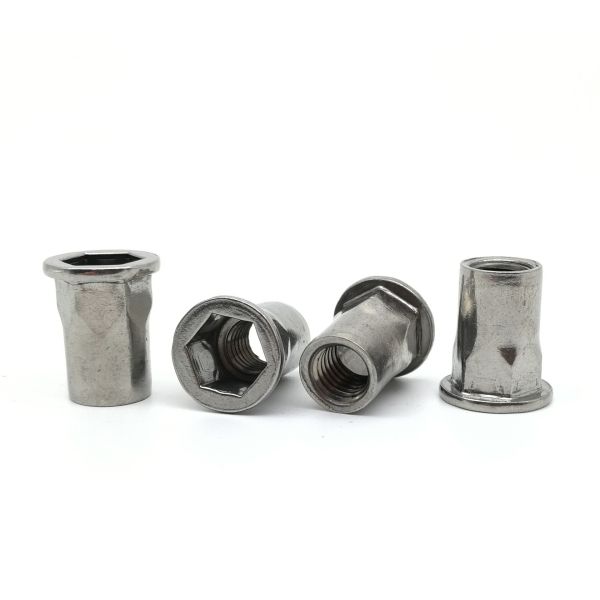 Flat Head Inner Hex Body Rivet Nut Stainless Steel Rivnuts Hexagonal Design