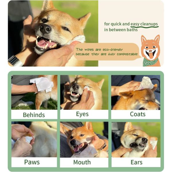 Logo Customized Logo Acceptable Pet Grooming Dental Cleaning Wipes for Cats Dogs Pets