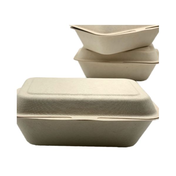 Biodegradable 7 ×5 Inch Bagasse Clamshell Containers 20g