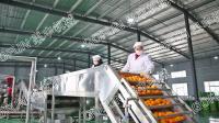 Ligne de production commerciale de jus d'orange entièrement automatique usines de transformation des agrumes machine spéciale