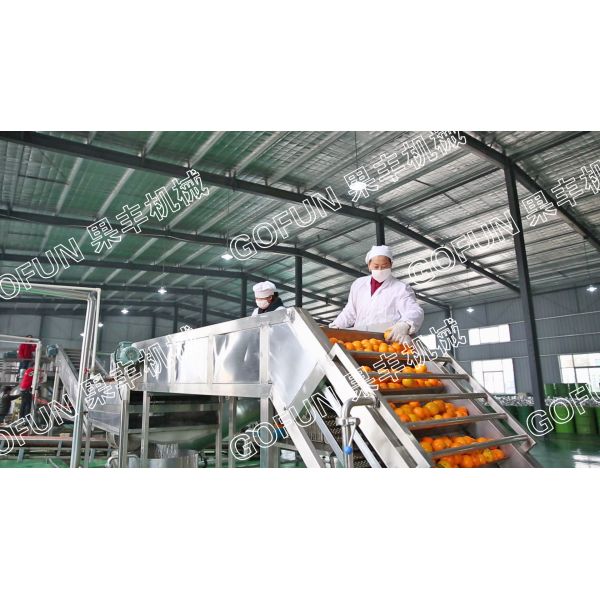  Complete Citrus Processing Plant | Turnkey Machinery for Orange Juice, Puree & Lemonade