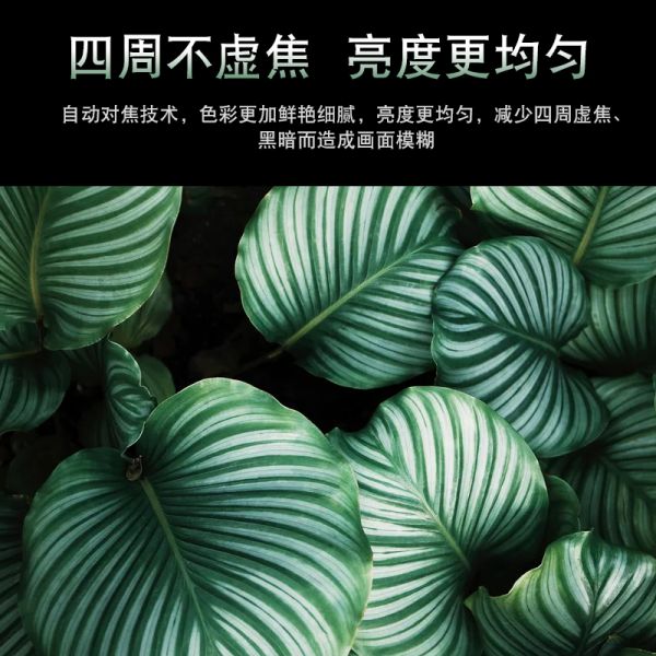 репроекторы 1080P LCD FHD мини портативные для домашнего серого цвета гостиницы 4K