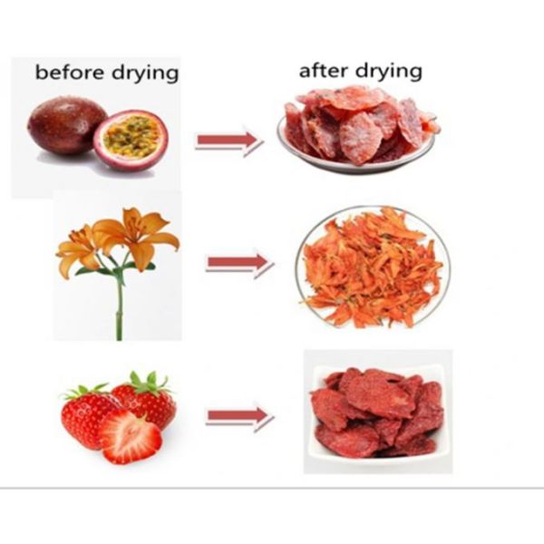 Energy Saving Industrial Hot Air Dryer High Productivity CE Approved