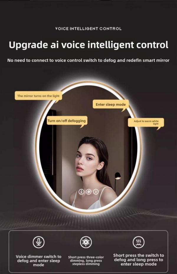 Modern Luxury Smart LED Vanity Mirror Oval Framed with Touch Switch Wall-Mounted Makeup Mirror for Salon Hotel Apartment