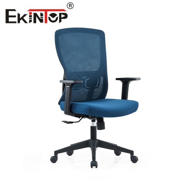 Pivot bleu Chaise de bureau ergonomique à dossier en maille universel pour Officeworks