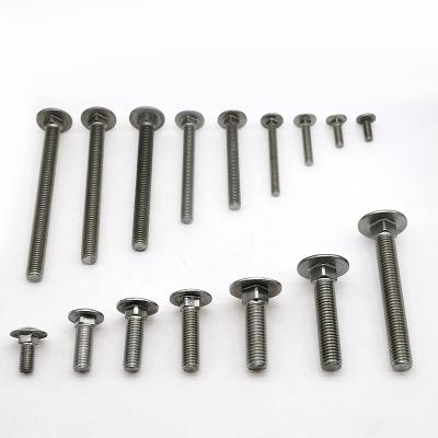 Stainless steel carriage screws customized