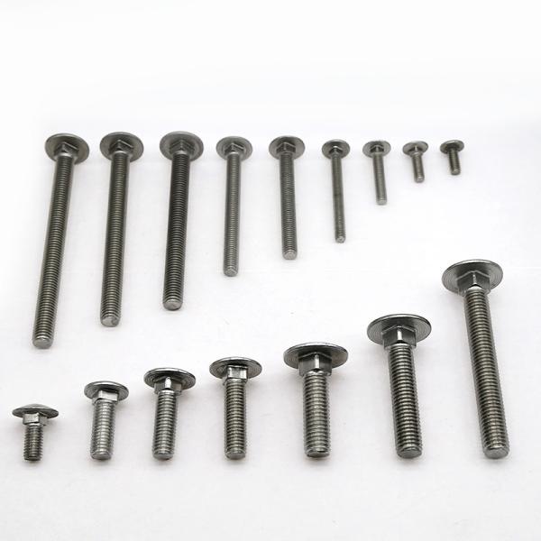 Stainless steel carriage screws customized