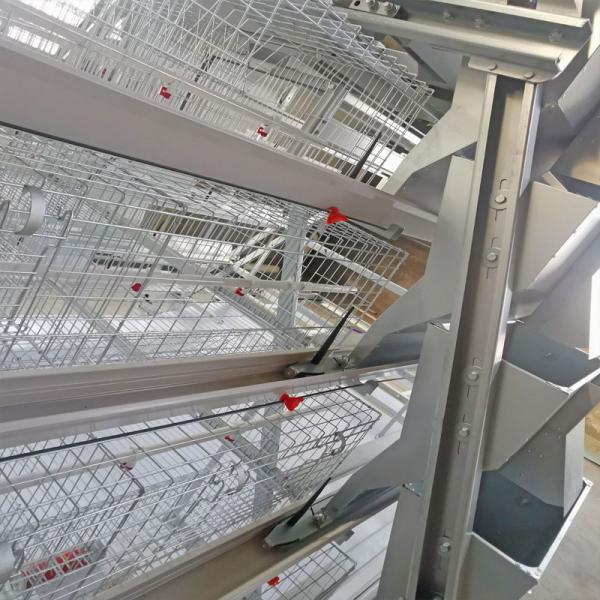 Type galvanisé à chaud norme d'A des rangées Q235 de Chick Cage 3 de bébé de grilleur