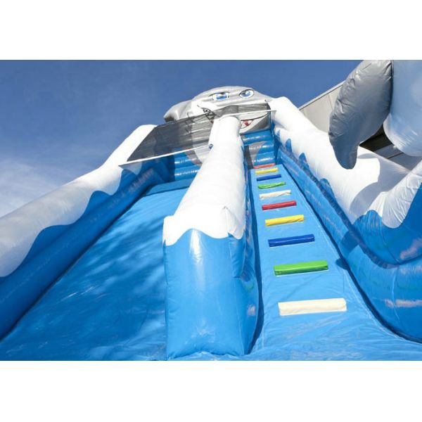 Amusement Park Large Inflatable Slide Hire Blue Shark Inflatable Slide Safe Nontoxic